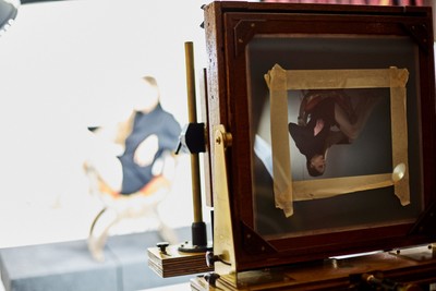 » #9/9 « / Wet plate collodion photo on glass / Blog post by <a href="https://strkng.com/en/model/lysann/">Model Lysann</a> / 2018-04-03 13:02 / Alternative Techniken