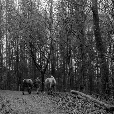 » #5/9 « / wanderung durch das muttent(h)al / Blog post by <a href="https://strkng.com/en/photographer/sanna+dimario/">Photographer Sanna Dimario</a> / 2020-01-07 13:28