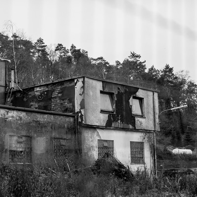 » #8/9 « / wanderung durch das muttent(h)al / Blog post by <a href="https://strkng.com/en/photographer/sanna+dimario/">Photographer Sanna Dimario</a> / 2020-01-07 13:28